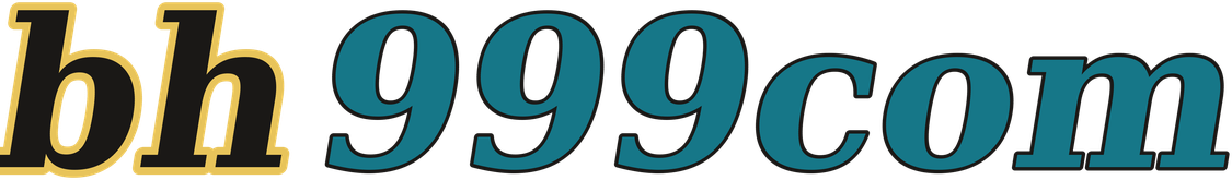 bh999com logo
